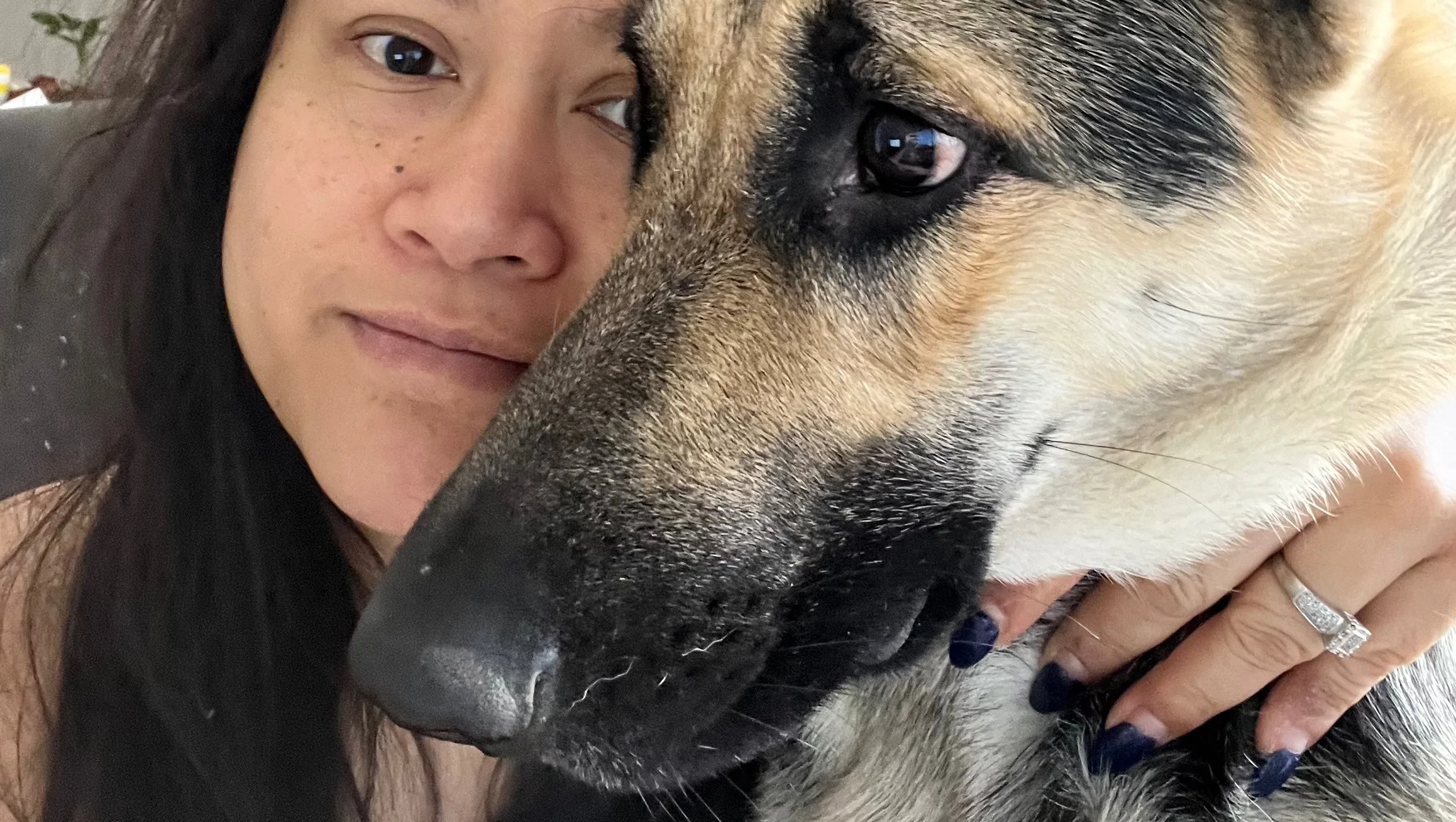 Freya Wants a Job (Besides Stealing My Snacks) – GoFundMe Fundraiser gofundme Donation Help