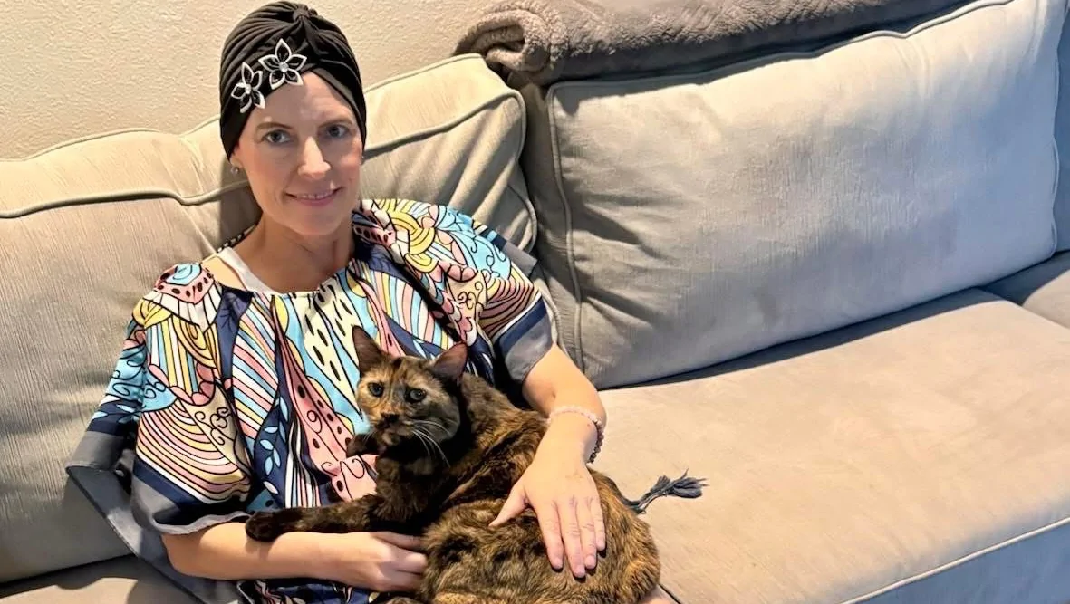 Help Erin and Her Cats Through This Crisis – GoFundMe Fundraiser gofundme Donation Help