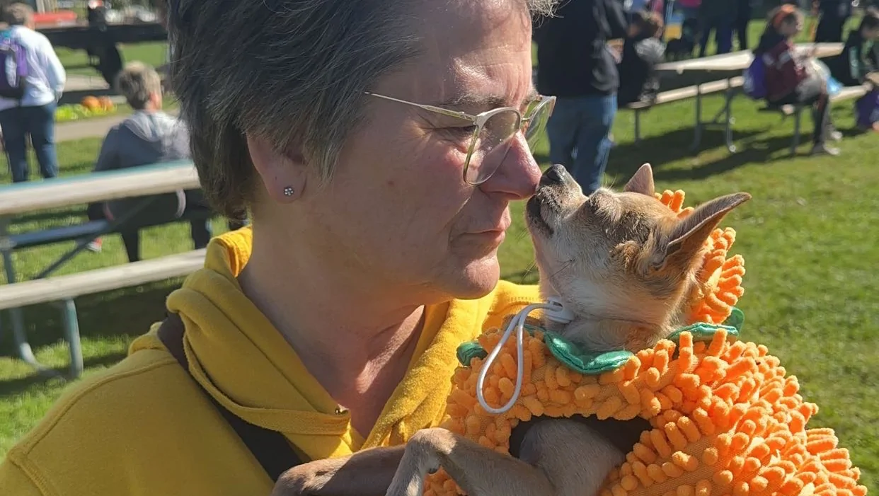 Help Joyce Fight Stage 4 Cancer – GoFundMe Fundraiser gofundme Donation Help